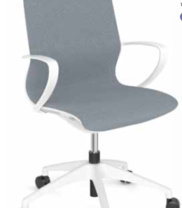 Marics Executive Mid Back